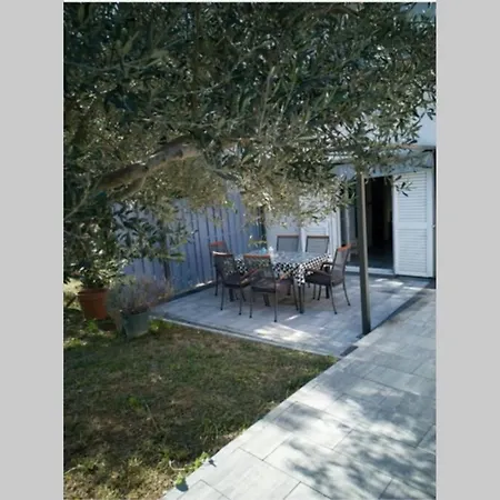 Apartment Kati 1 Sveti Filip i Jakov